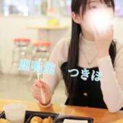 つきほ これでいいのだ 鹿鳴館