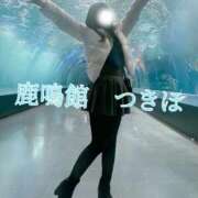 ヒメ日記 2026/01/24 06:46 投稿 つきほ 鹿鳴館