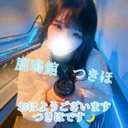 ヒメ日記 2026/01/26 06:36 投稿 つきほ 鹿鳴館