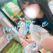 ヒメ日記 2026/01/26 16:36 投稿 つきほ 鹿鳴館