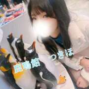 ヒメ日記 2026/01/27 15:46 投稿 つきほ 鹿鳴館