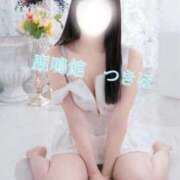 ヒメ日記 2026/01/29 06:46 投稿 つきほ 鹿鳴館