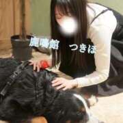 ヒメ日記 2026/01/29 21:06 投稿 つきほ 鹿鳴館