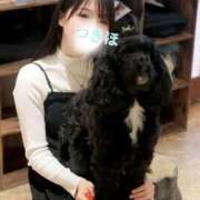 ヒメ日記 2026/01/31 15:26 投稿 つきほ 鹿鳴館