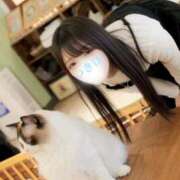 ヒメ日記 2026/02/02 07:16 投稿 つきほ 鹿鳴館