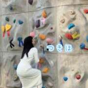 ヒメ日記 2026/02/16 07:18 投稿 つきほ 鹿鳴館