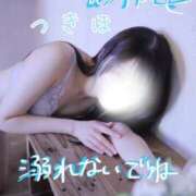 ヒメ日記 2026/02/21 12:16 投稿 つきほ 鹿鳴館