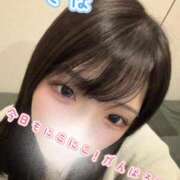 ヒメ日記 2026/03/06 07:18 投稿 つきほ 鹿鳴館