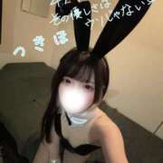 ヒメ日記 2026/04/02 12:06 投稿 つきほ 鹿鳴館