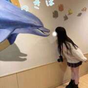 ヒメ日記 2026/04/10 10:31 投稿 つきほ 鹿鳴館