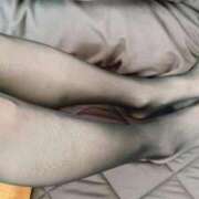 ねこ おはようございます😊 熟女家 堺東店