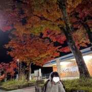 ヒメ日記 2025/11/14 21:18 投稿 よる 錦糸町人妻セレブリティ（ユメオト）