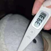 ヒメ日記 2025/11/21 13:50 投稿 ミレイ Juicy＋(ユメオト)