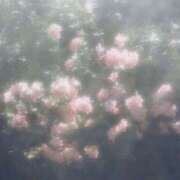 ヒメ日記 2026/03/30 07:12 投稿 りほ 西川口マーメイド