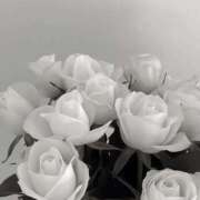 ヒメ日記 2026/04/15 08:30 投稿 りほ 西川口マーメイド