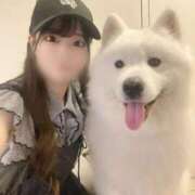 ヒメ日記 2025/11/05 22:54 投稿 りり E+アイドルスクール新宿・歌舞伎町店