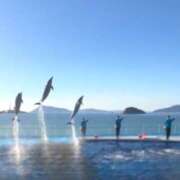 ヒメ日記 2025/11/22 19:22 投稿 あみ 横浜パフパフチェリーパイ