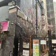 ヒメ日記 2026/03/06 20:20 投稿 新井まどか 渋谷エオス