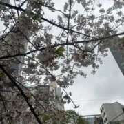 ヒメ日記 2026/04/01 16:20 投稿 新井まどか 渋谷エオス