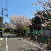 ヒメ日記 2026/04/03 22:20 投稿 新井まどか 渋谷エオス