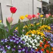 ヒメ日記 2026/04/09 11:50 投稿 新井まどか 渋谷エオス