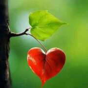 ヒメ日記 2025/11/04 13:23 投稿 まや 半熟ばなな　錦糸町