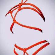 ヒメ日記 2025/12/09 16:15 投稿 しゃねる 熟女家 十三店