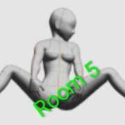 しゃねる Room 5 熟女家 十三店