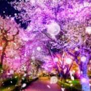 ヒメ日記 2026/03/28 16:05 投稿 しゃねる 熟女家 十三店