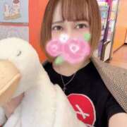 ヒメ日記 2026/09/12 02:17 投稿 あんず ミセスファースト 熊谷店 -お姉さん・若妻専門店-