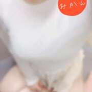 ヒメ日記 2025/12/24 03:00 投稿 みかん 谷町人妻熟女奉仕倶楽部