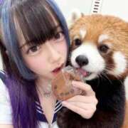 ヒメ日記 2025/12/08 10:43 投稿 ほむら あふたーすくーる本店