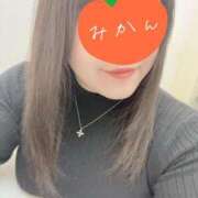 ヒメ日記 2025/12/08 15:02 投稿 みかん マダムン谷九