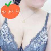 ヒメ日記 2025/12/09 12:12 投稿 みかん マダムン谷九