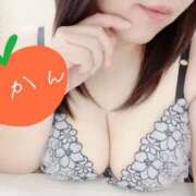 ヒメ日記 2025/12/15 14:52 投稿 みかん マダムン谷九