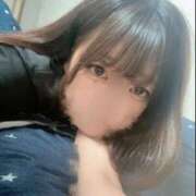 ヒメ日記 2025/11/17 13:06 投稿 ゆき IRIS(岐阜)