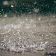 ヒメ日記 2025/11/10 07:54 投稿 れん マダムバンク 富山本店