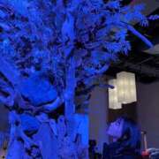 ヒメ日記 2025/11/08 10:55 投稿 ゆうき IRIS(岐阜)