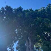 ヒメ日記 2025/12/18 16:30 投稿 亜耶【アヤ】 輝女