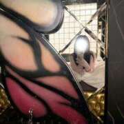 ヒメ日記 2025/12/04 23:37 投稿 もえ【性欲満タン敏感美女】 STELLA NEXT－ステラネクスト－