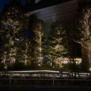 ヒメ日記 2025/12/07 20:08 投稿 もえ【性欲満タン敏感美女】 STELLA NEXT－ステラネクスト－