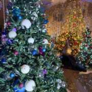 ヒメ日記 2025/12/20 01:02 投稿 もえ【性欲満タン敏感美女】 STELLA NEXT－ステラネクスト－