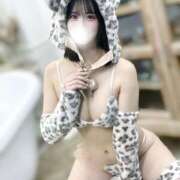 ヒメ日記 2026/03/14 05:59 投稿 もえ【性欲満タン敏感美女】 STELLA NEXT－ステラネクスト－