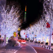 ヒメ日記 2025/12/24 15:04 投稿 ルナ★ レースクィーン