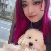 ヒメ日記 2025/11/13 18:03 投稿 ケリー Garter Princess＆Mrs（ガータープリンセス＆ミセス）