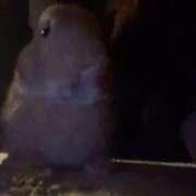 ヒメ日記 2025/11/20 16:39 投稿 ゆに デザインプリズム新宿