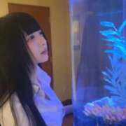 ヒメ日記 2025/12/08 20:09 投稿 ゆに デザインプリズム新宿