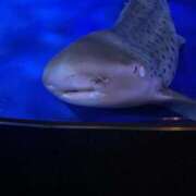 ヒメ日記 2025/12/16 00:09 投稿 ゆに デザインプリズム新宿