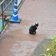 ヒメ日記 2025/12/21 14:39 投稿 ゆに デザインプリズム新宿