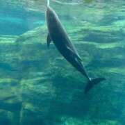 ヒメ日記 2026/02/15 15:39 投稿 ゆに デザインプリズム新宿